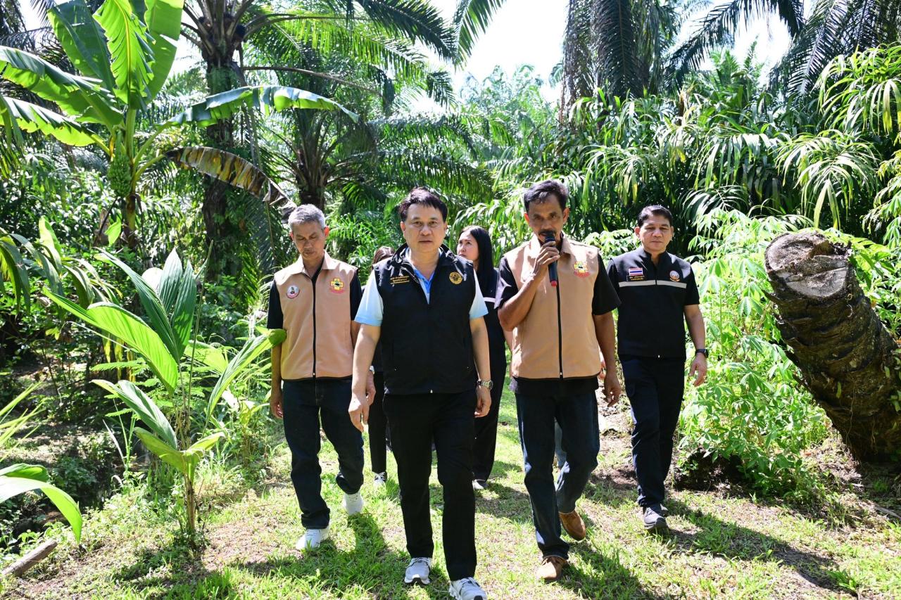 ภาพประกอบที่ 15