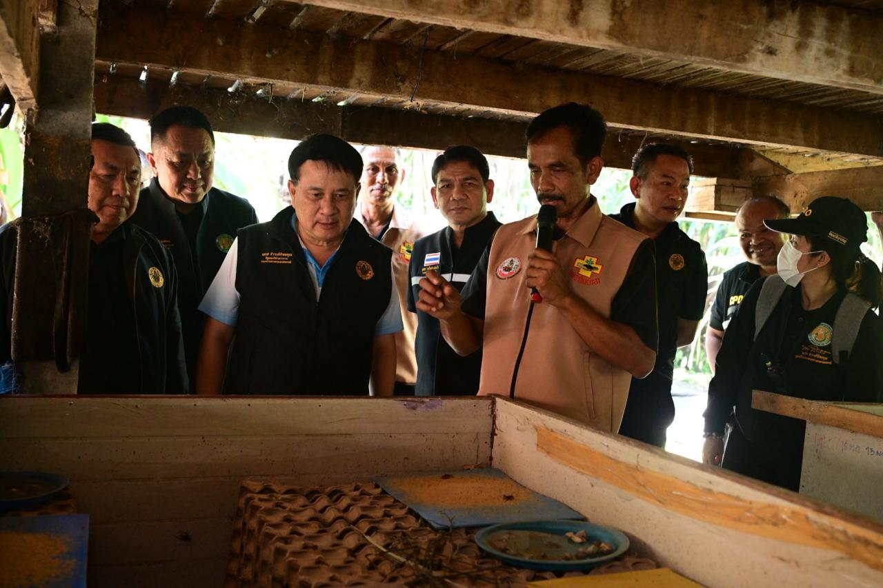 ภาพประกอบที่ 17