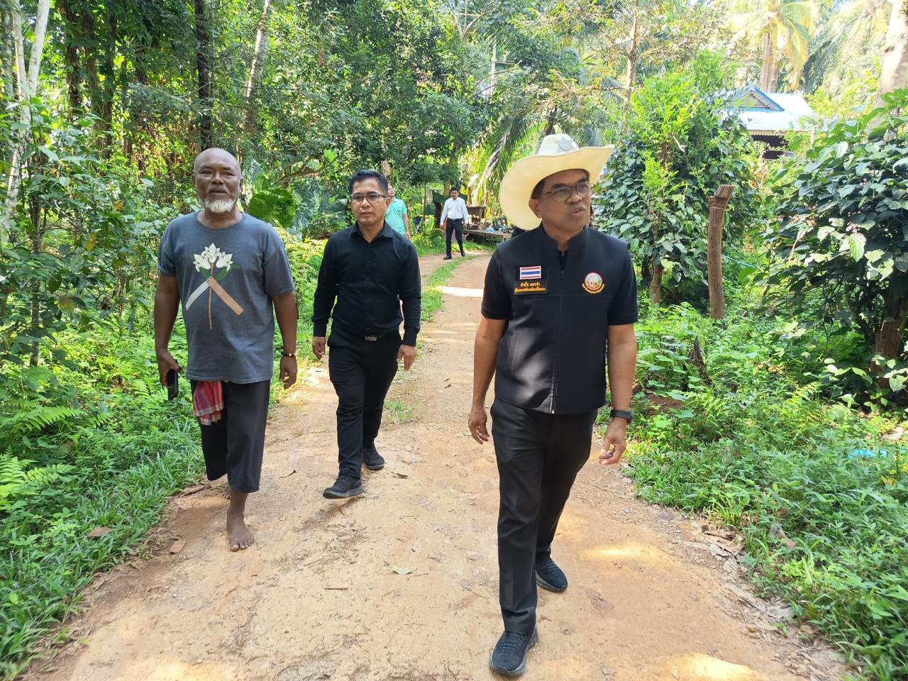 ภาพประกอบที่ 0