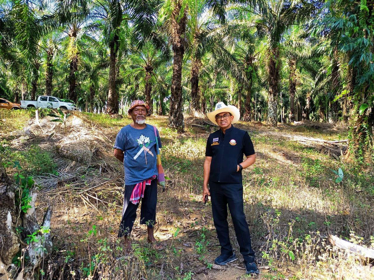 ภาพประกอบที่ 6