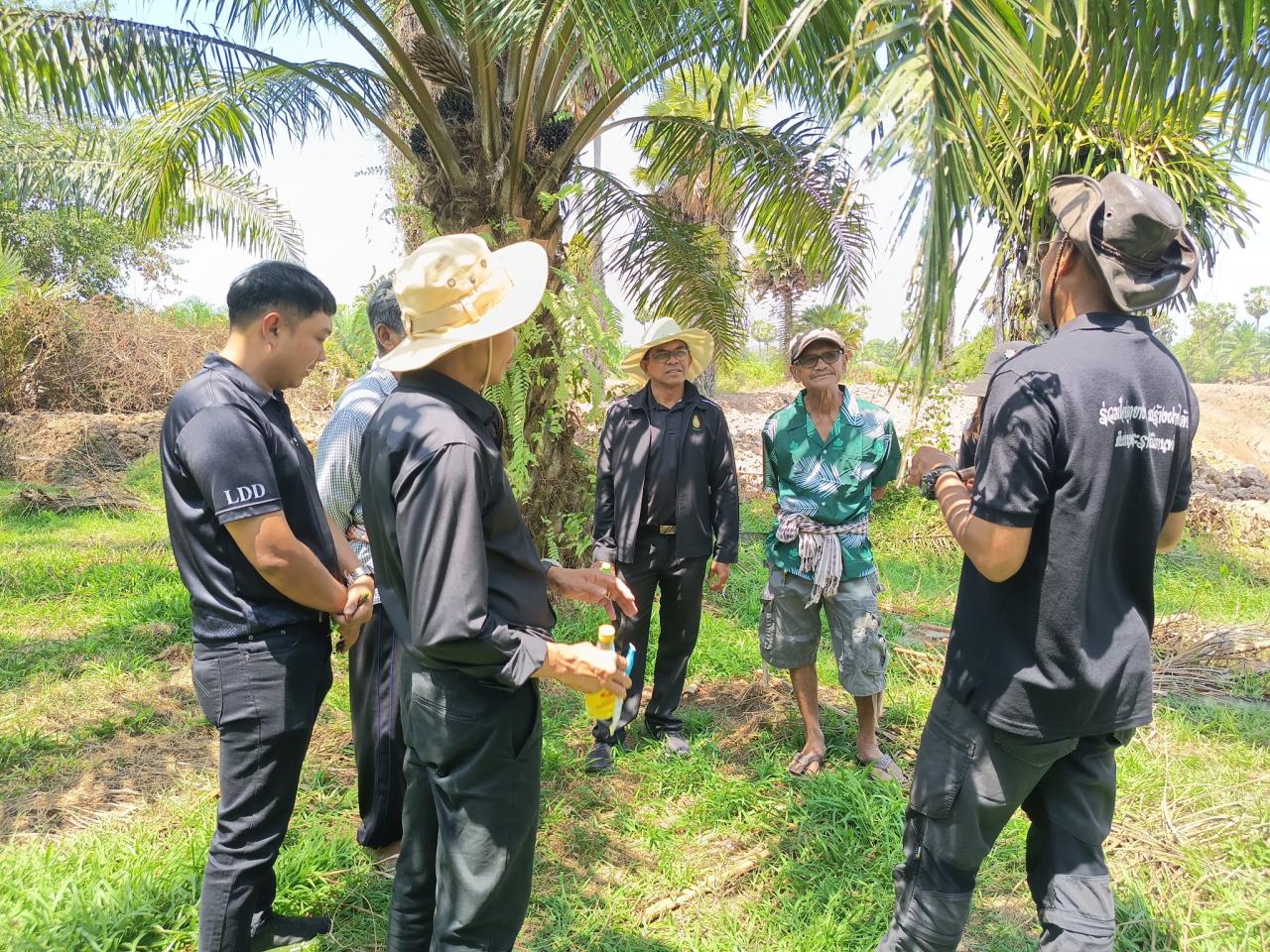 ภาพประกอบที่ 0