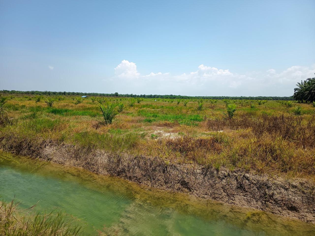 ภาพประกอบที่ 6