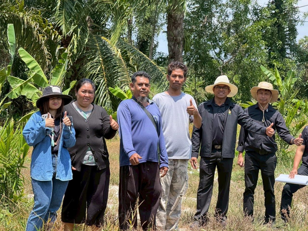 ภาพประกอบที่ 8