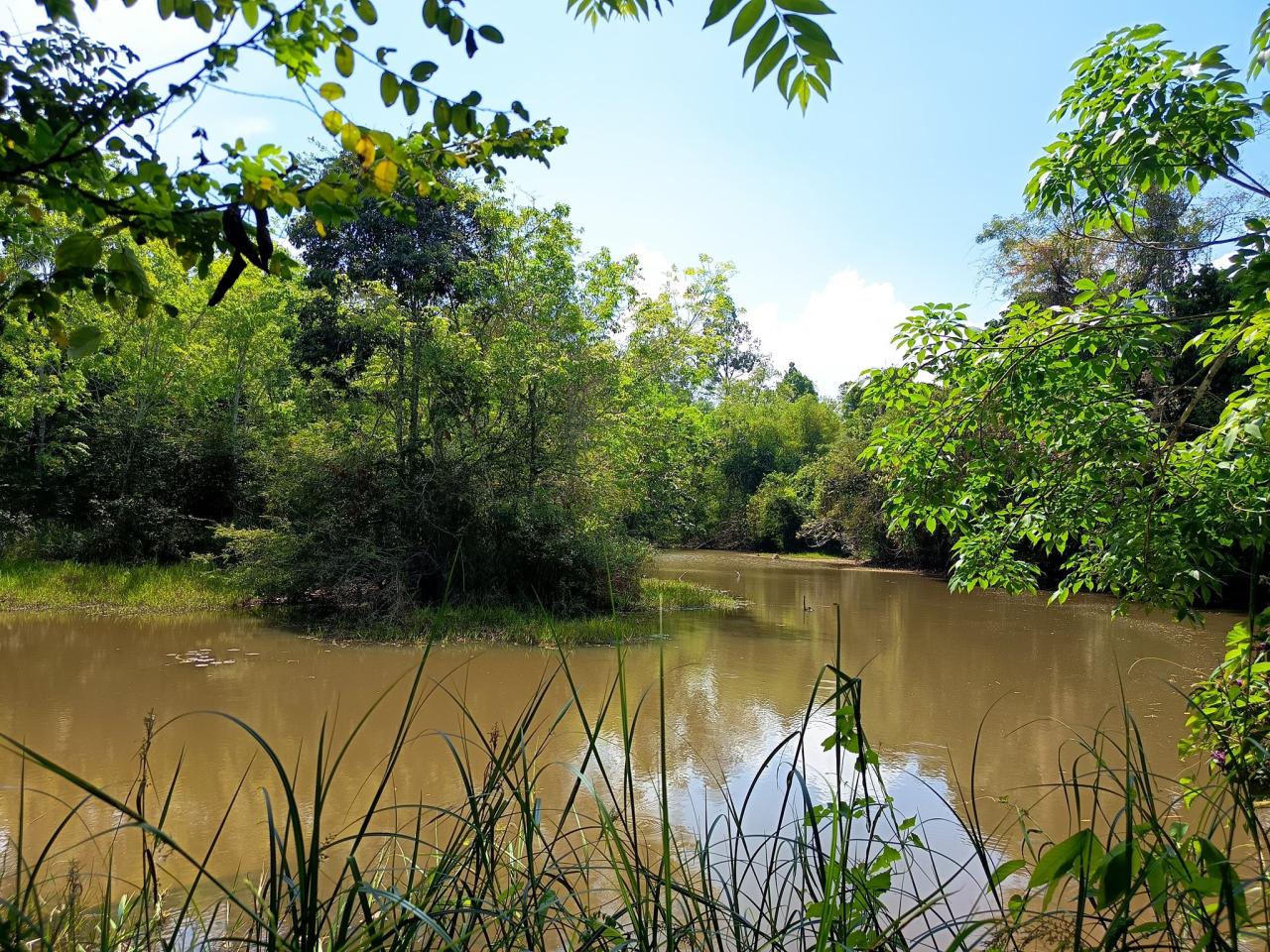 ภาพประกอบที่ 4