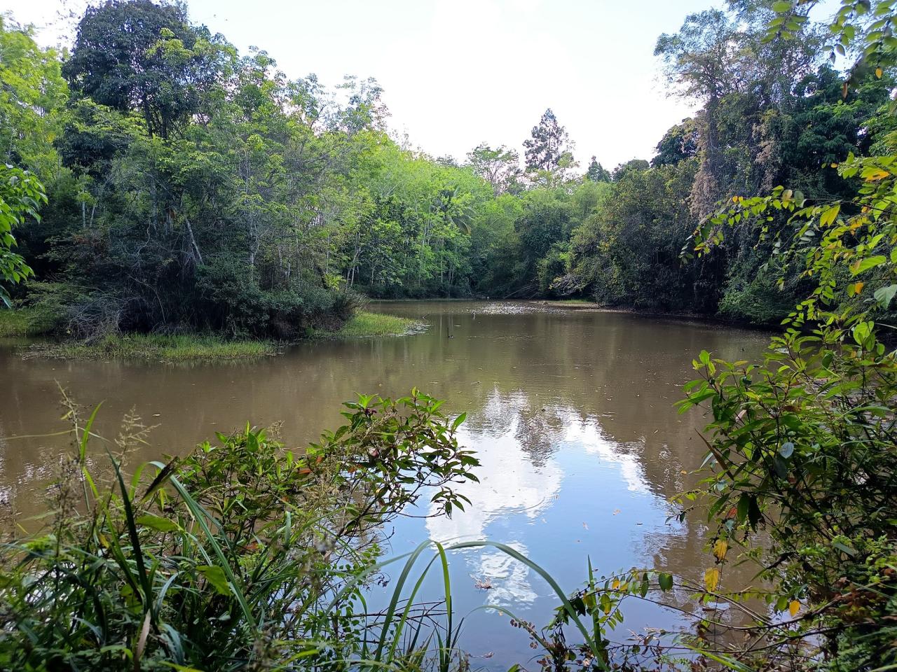 ภาพประกอบที่ 6