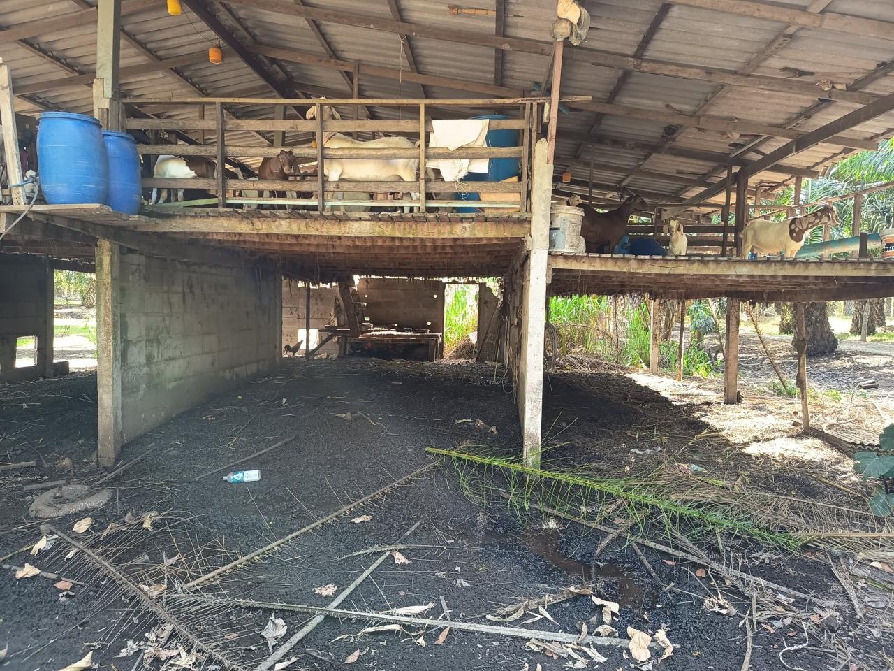 ภาพประกอบที่ 6