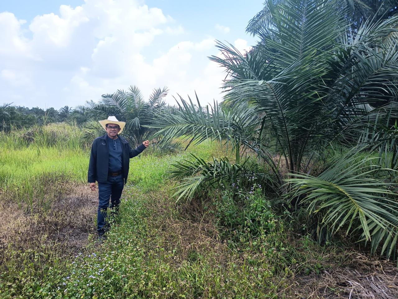 ภาพประกอบที่ 7