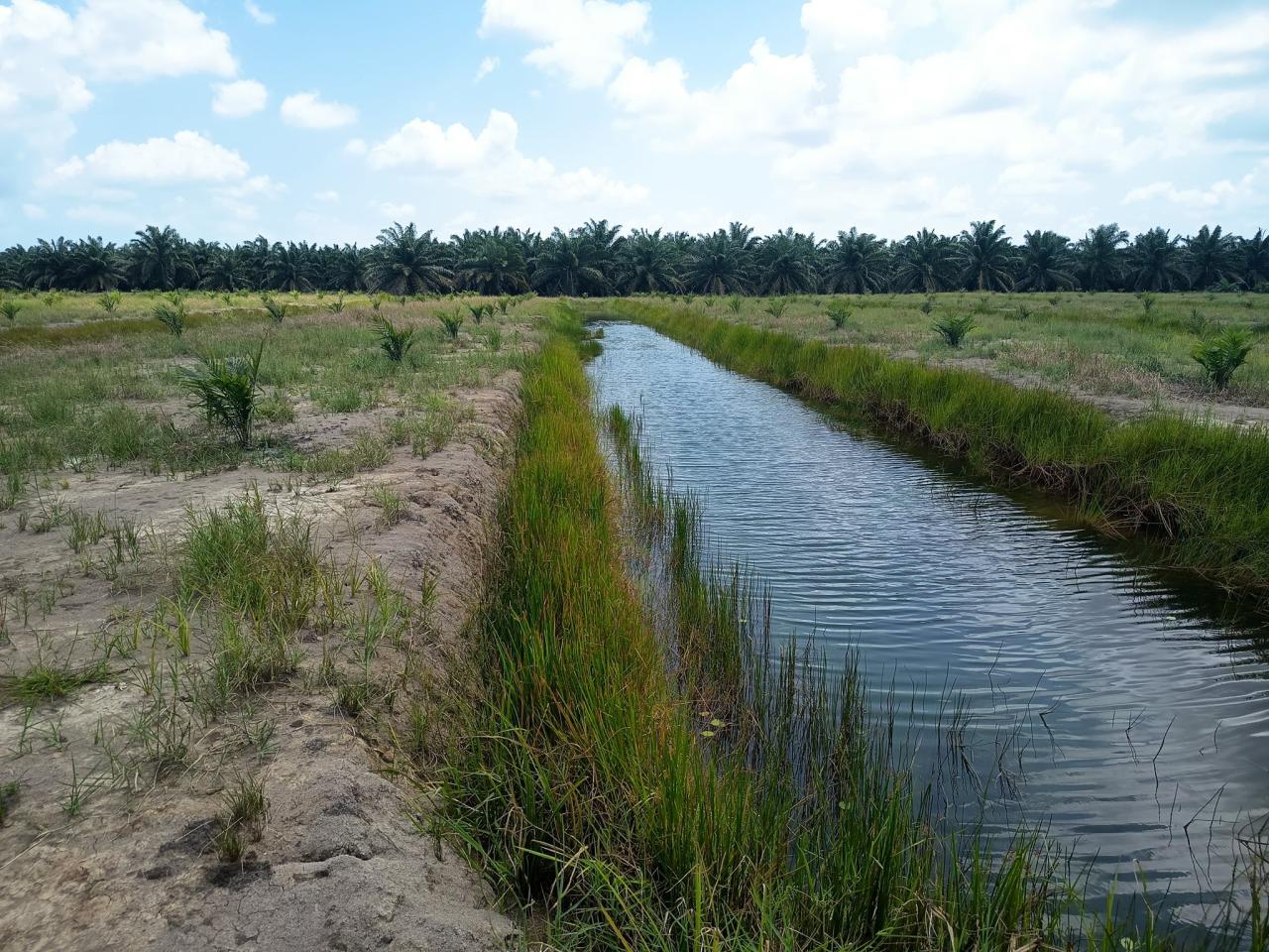 ภาพประกอบที่ 10