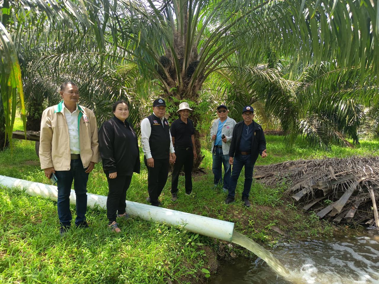 ภาพประกอบที่ 13