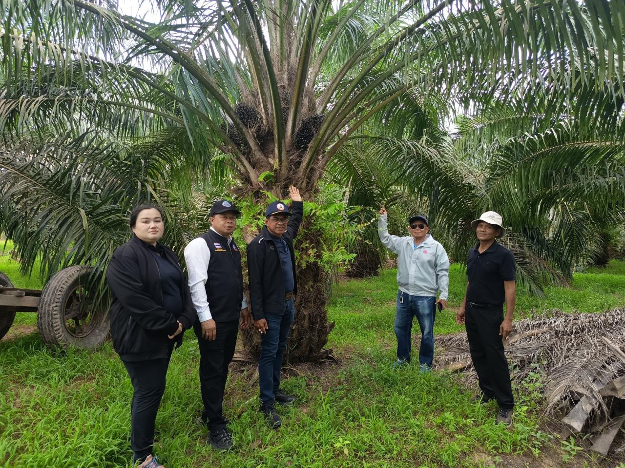 ภาพประกอบที่ 14