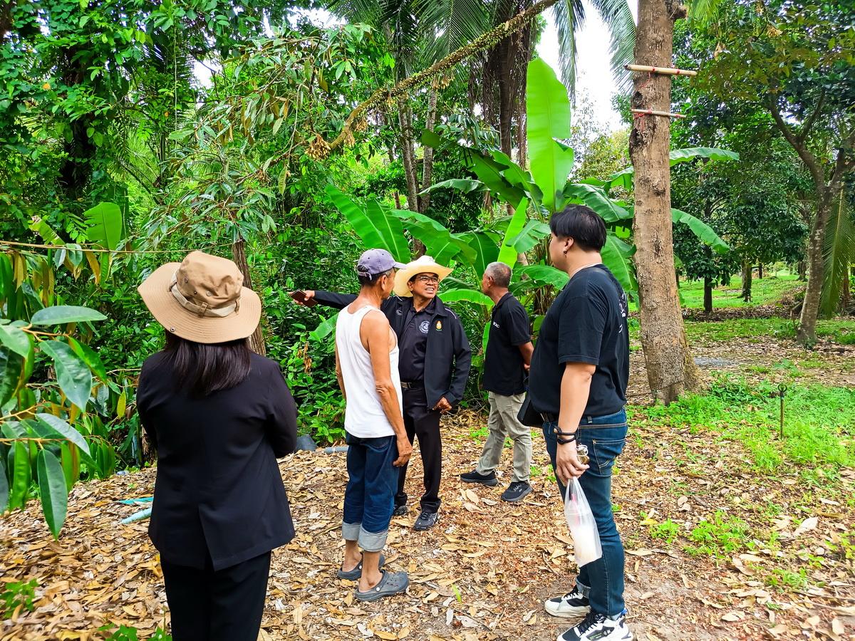 ภาพประกอบที่ 5