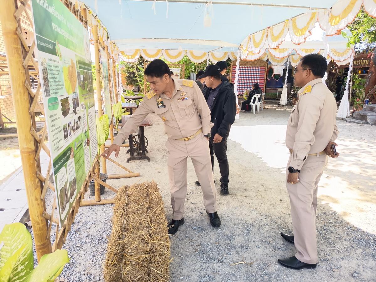 ภาพประกอบที่ 1