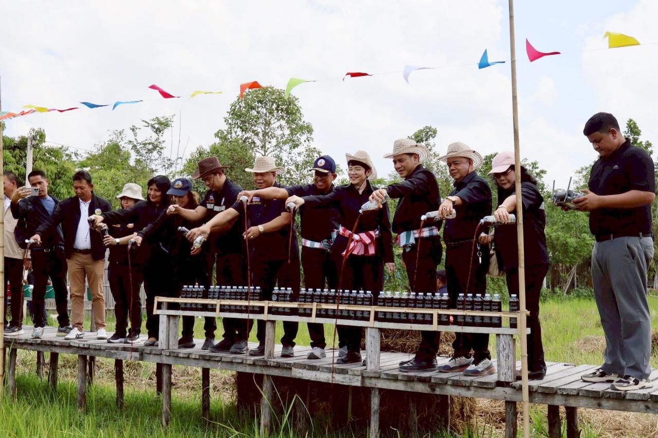 ภาพประกอบที่ 11