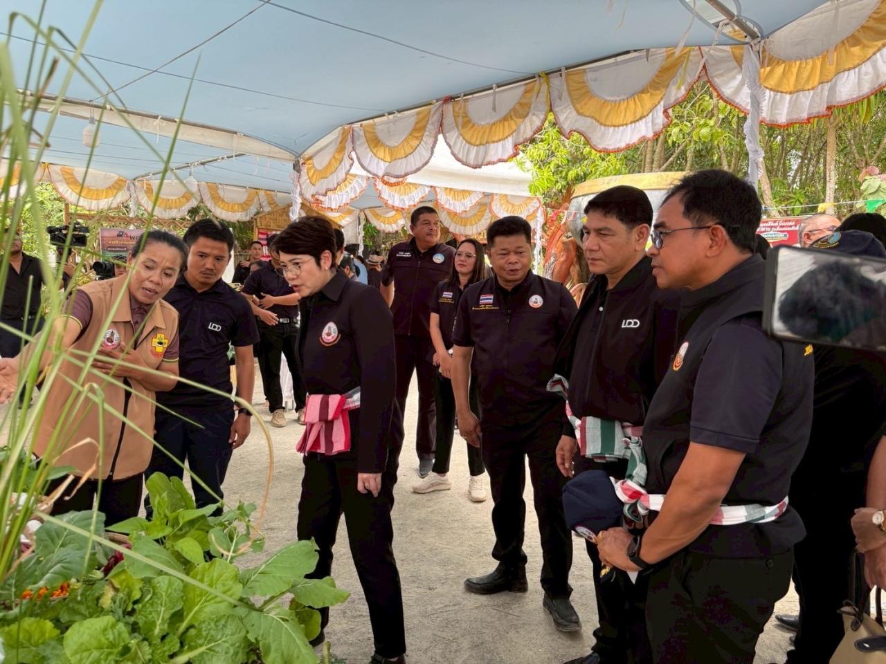ภาพประกอบที่ 22