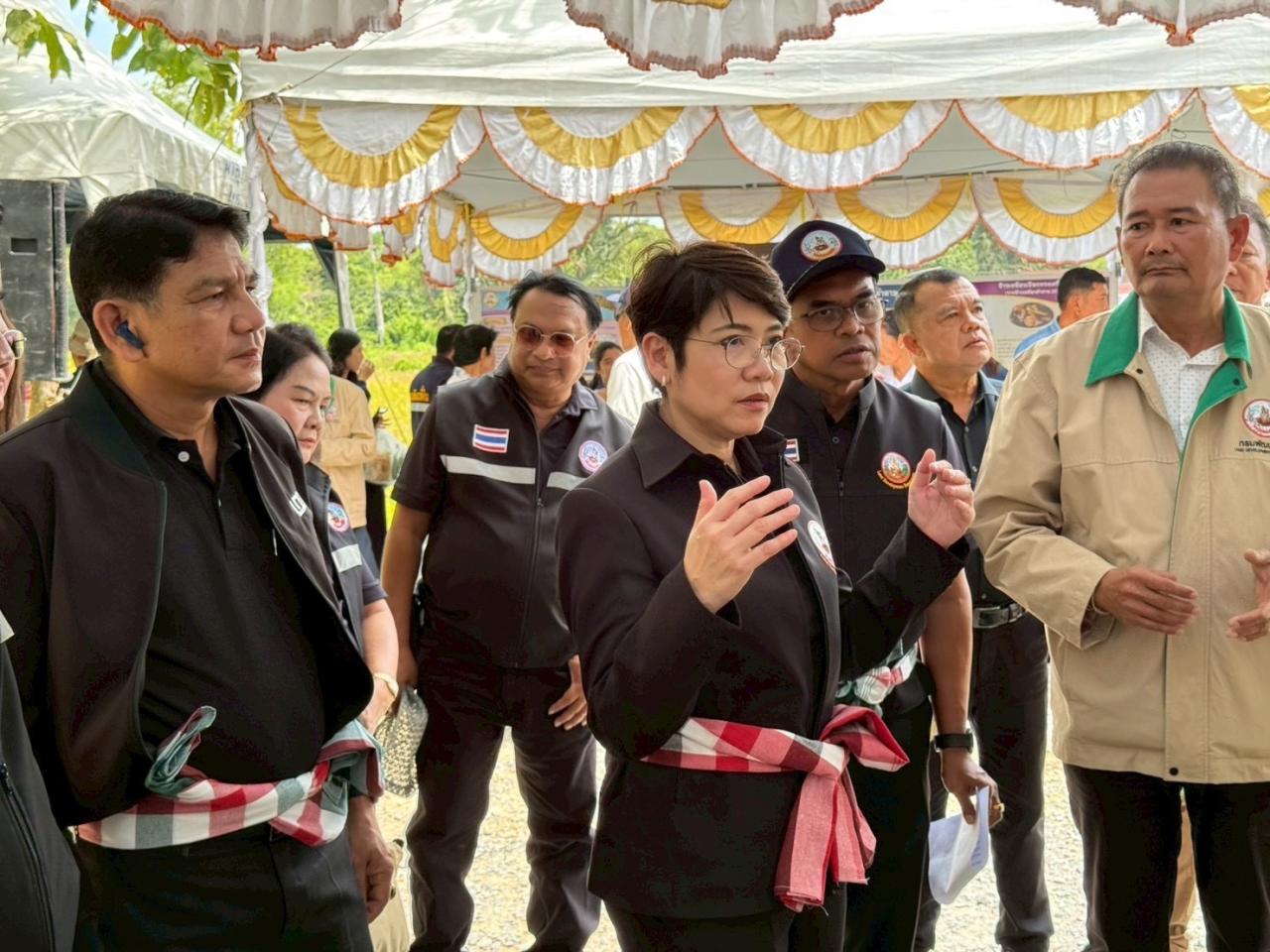 ภาพประกอบที่ 24