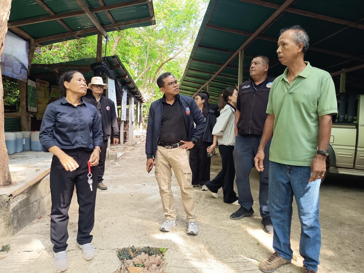 ภาพประกอบที่ 4