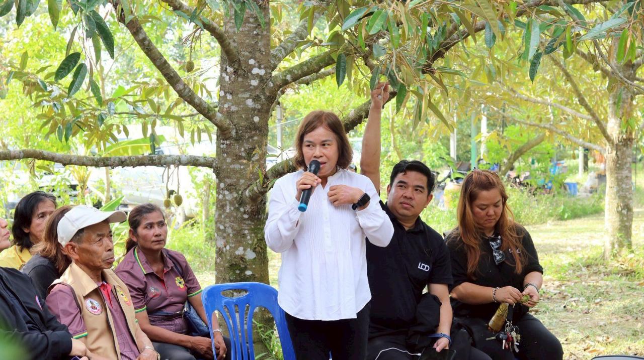 ภาพประกอบที่ 8