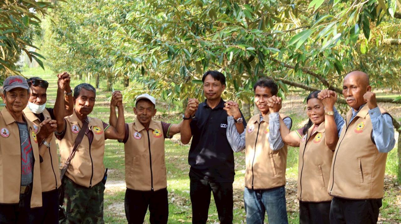 ภาพประกอบที่ 16