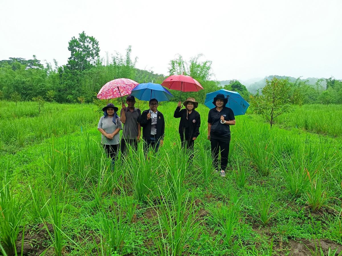 ภาพประกอบที่ 6