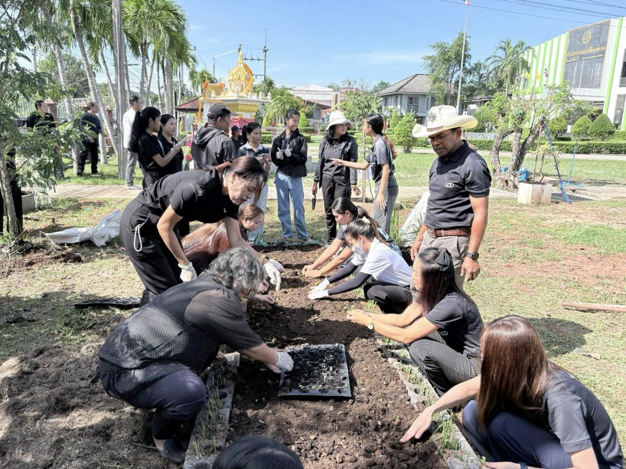ภาพประกอบที่ 11