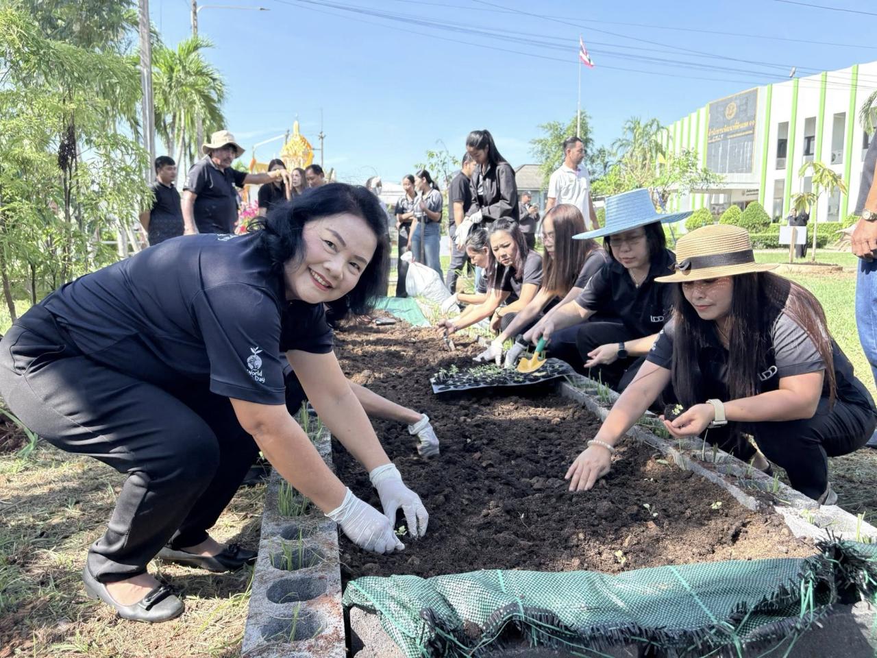 ภาพประกอบที่ 12
