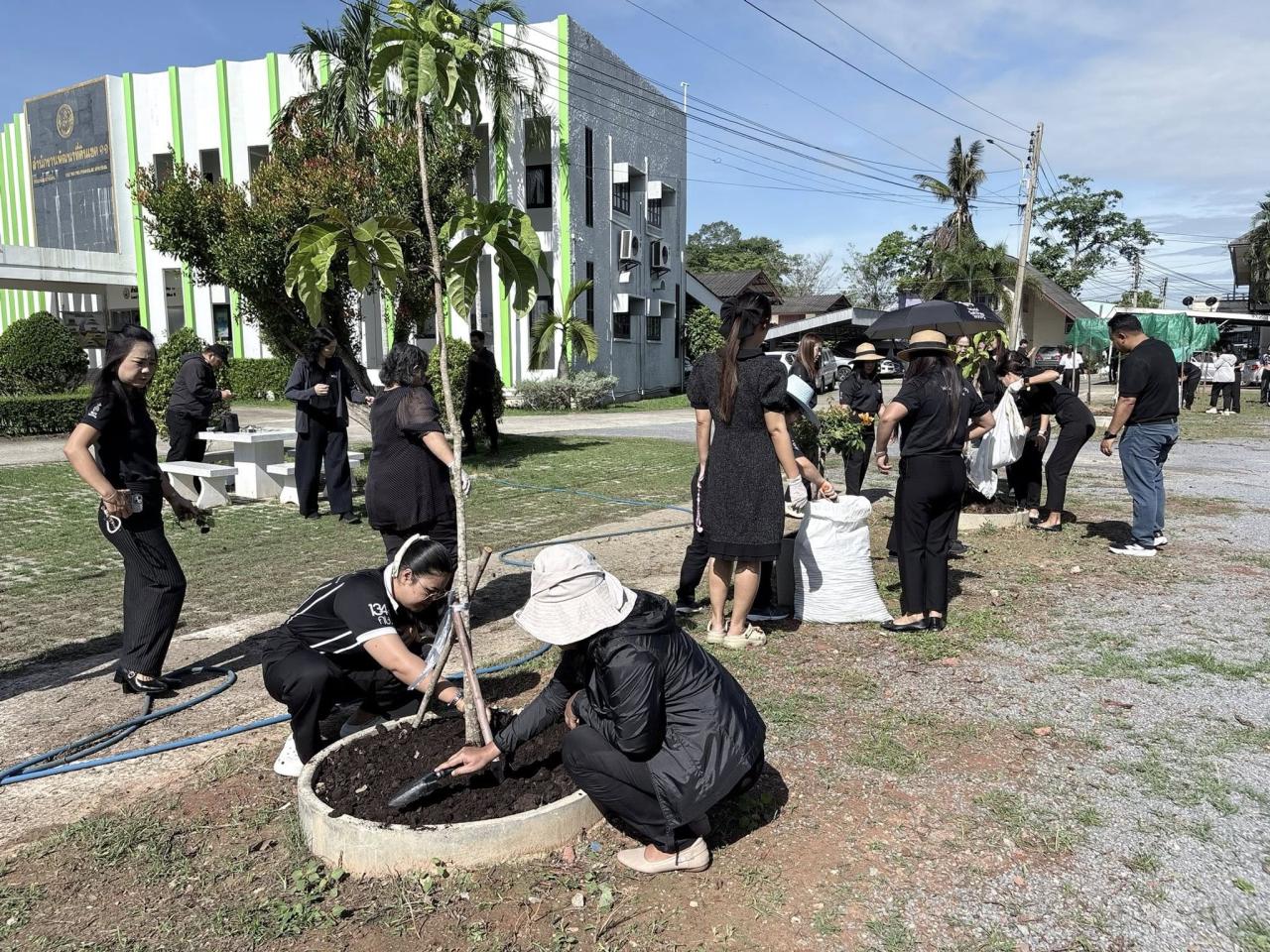 ภาพประกอบที่ 24