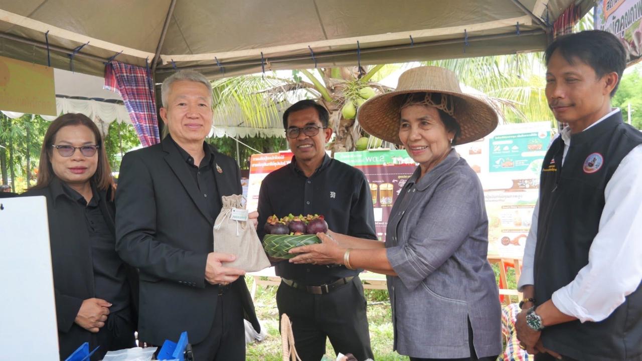 ภาพประกอบที่ 10