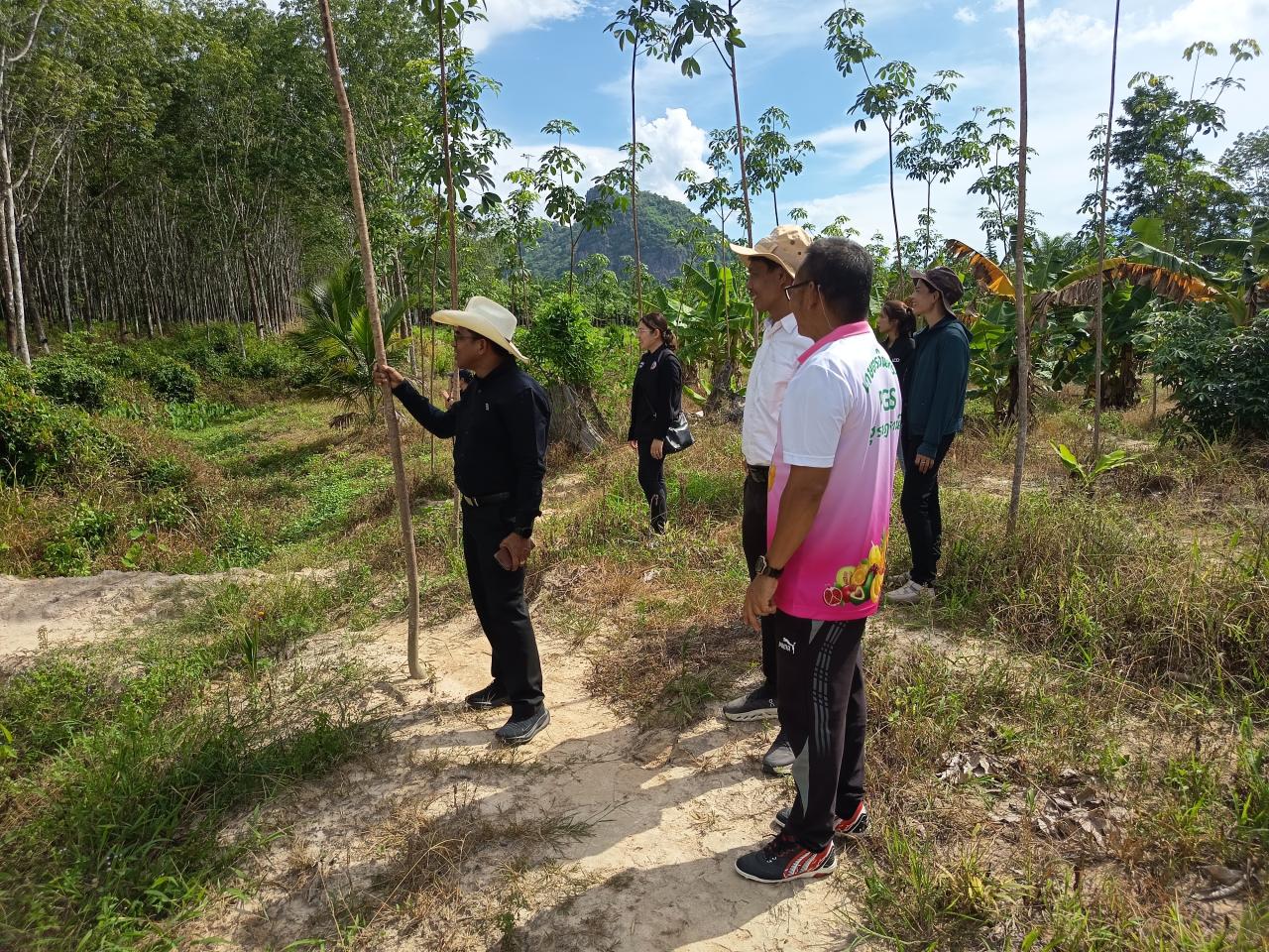 ภาพประกอบที่ 3
