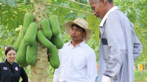 ภาพประกอบที่ 1