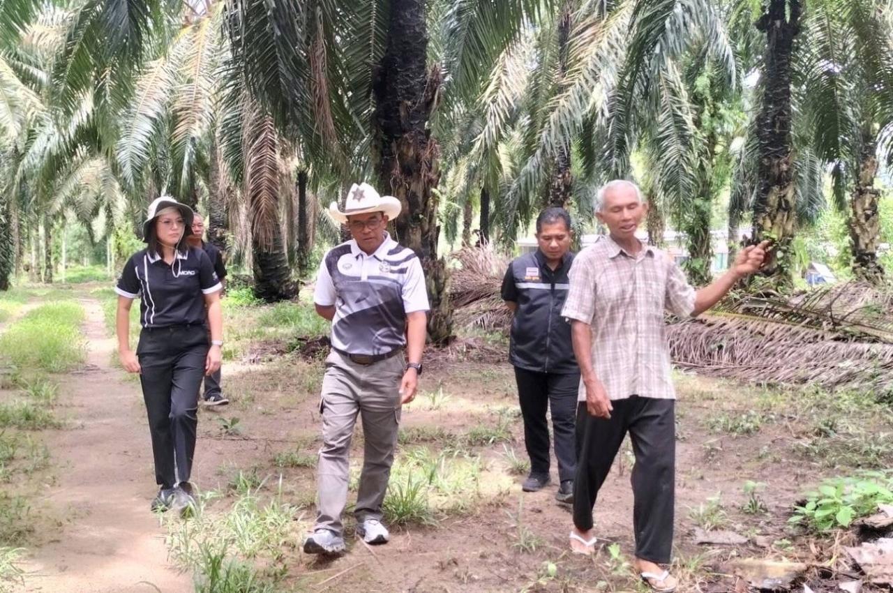ภาพประกอบที่ 4