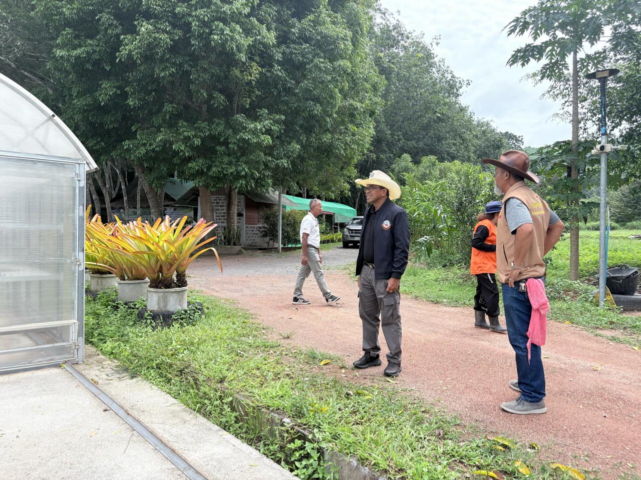 ภาพประกอบที่ 10