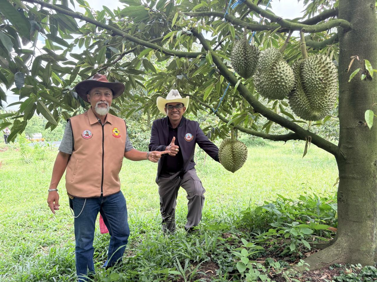 ภาพประกอบที่ 15