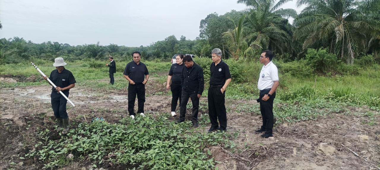 ภาพประกอบที่ 17