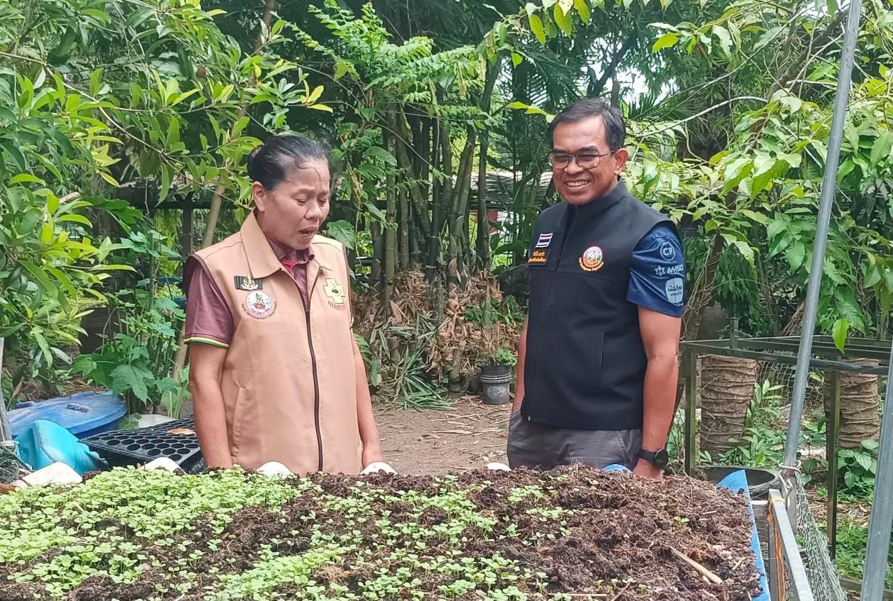 ภาพประกอบที่ 0