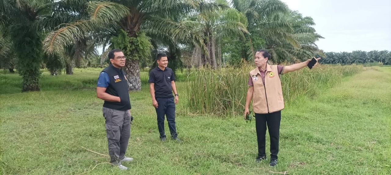ภาพประกอบที่ 18
