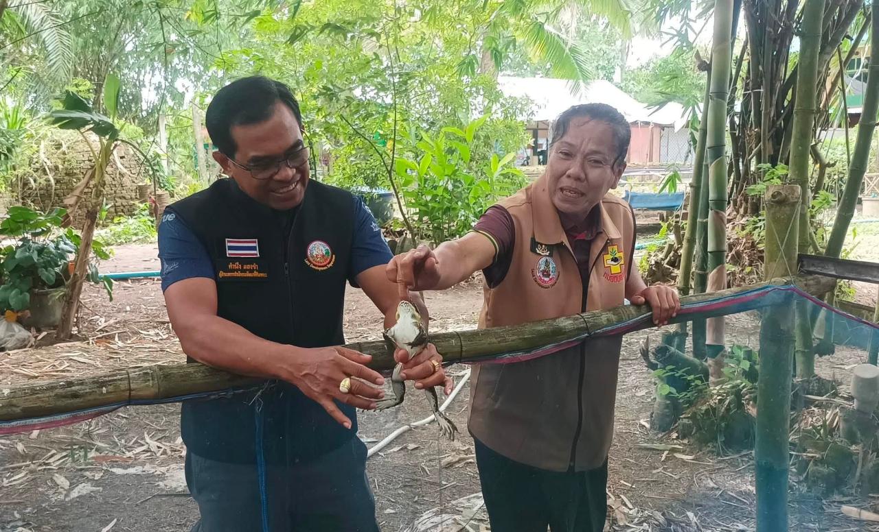 ภาพประกอบที่ 24