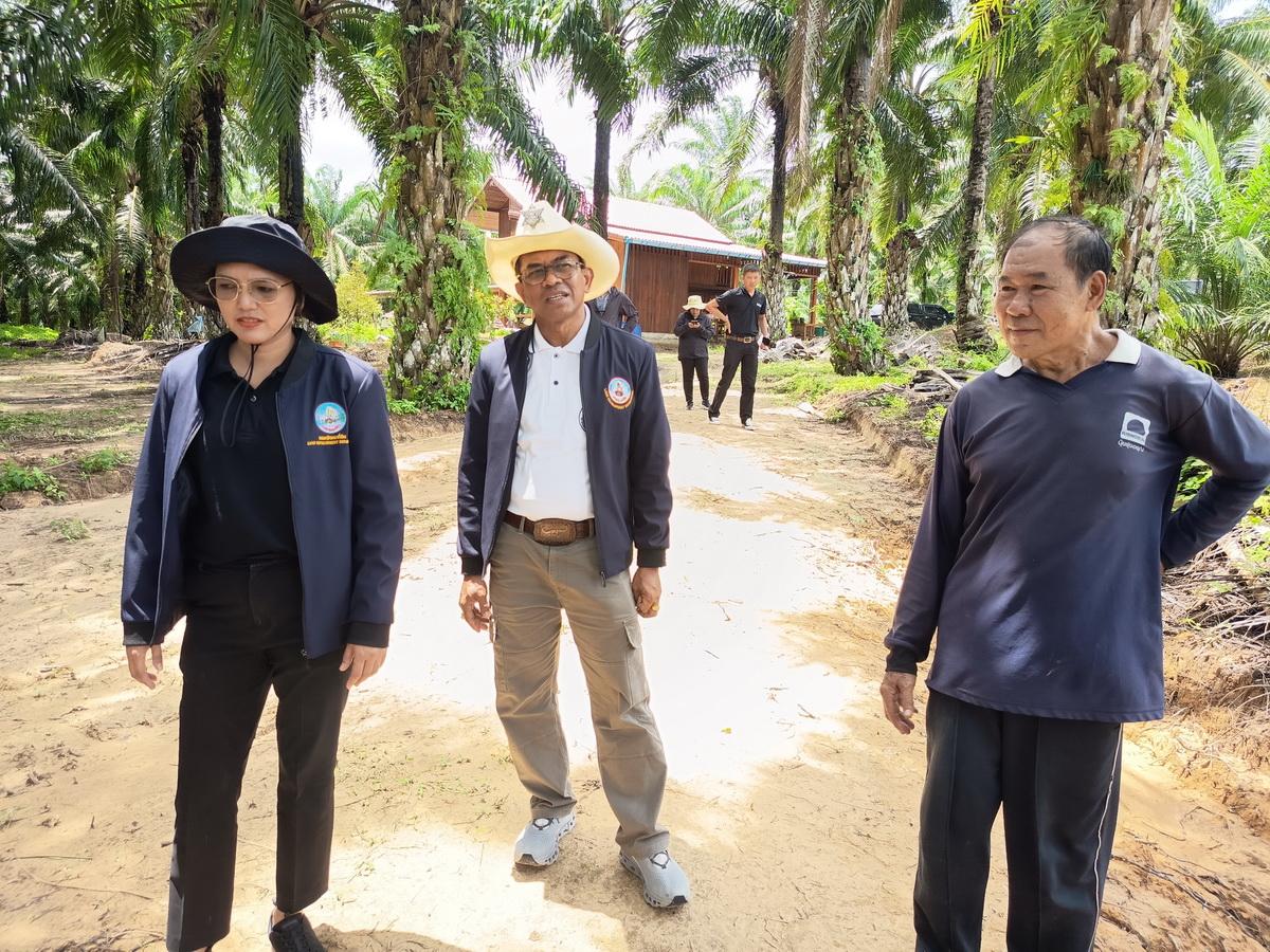 ภาพประกอบที่ 3