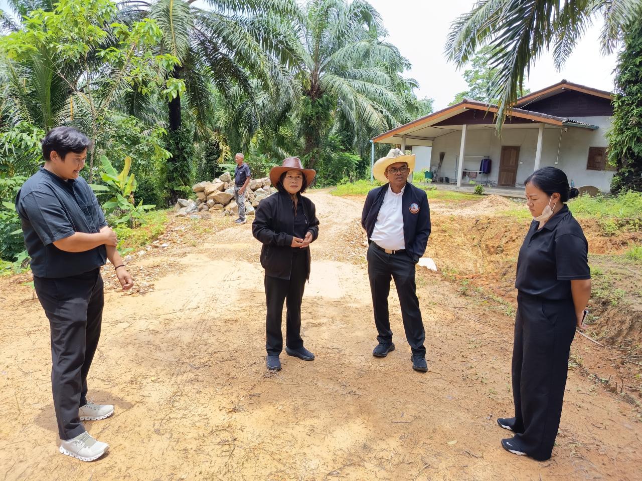 ภาพประกอบที่ 0
