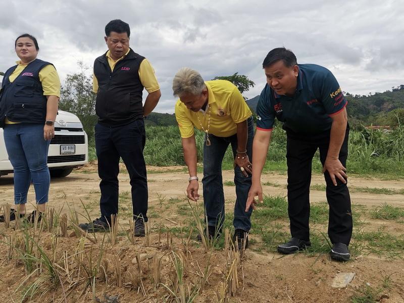 ภาพประกอบที่ 2