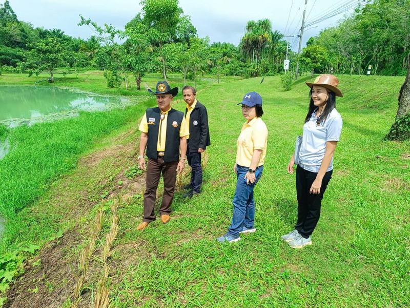 ภาพประกอบที่ 0