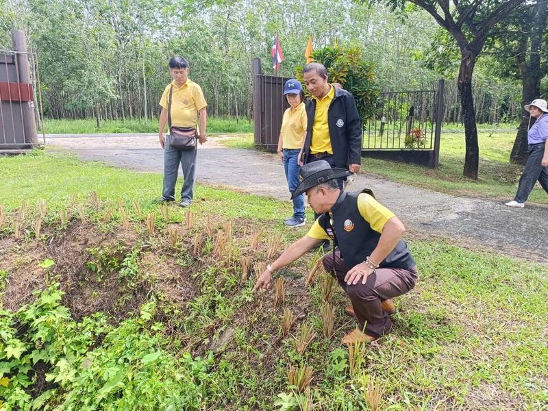 ภาพประกอบที่ 2