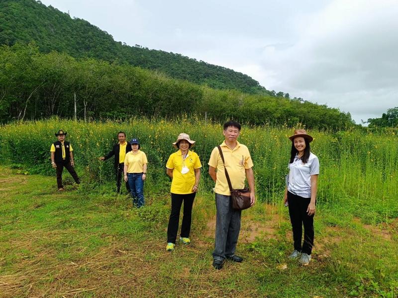 ภาพประกอบที่ 1