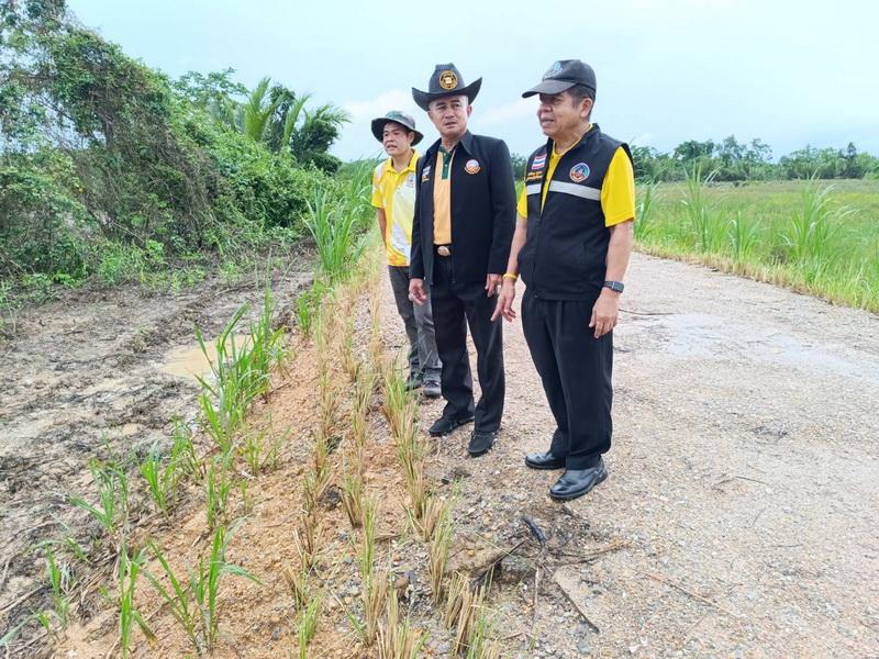 ภาพประกอบที่ 6