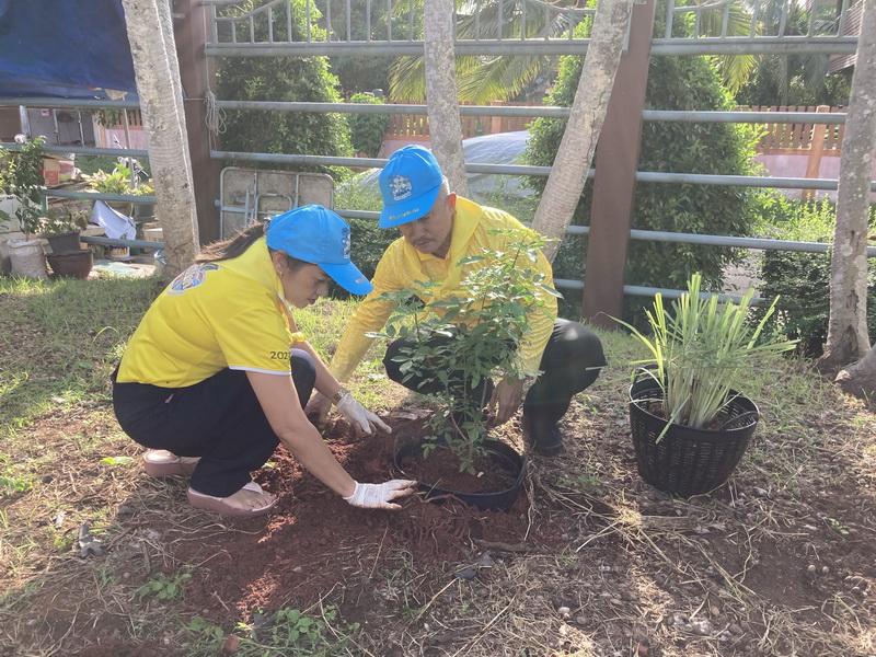 ภาพประกอบที่ 13