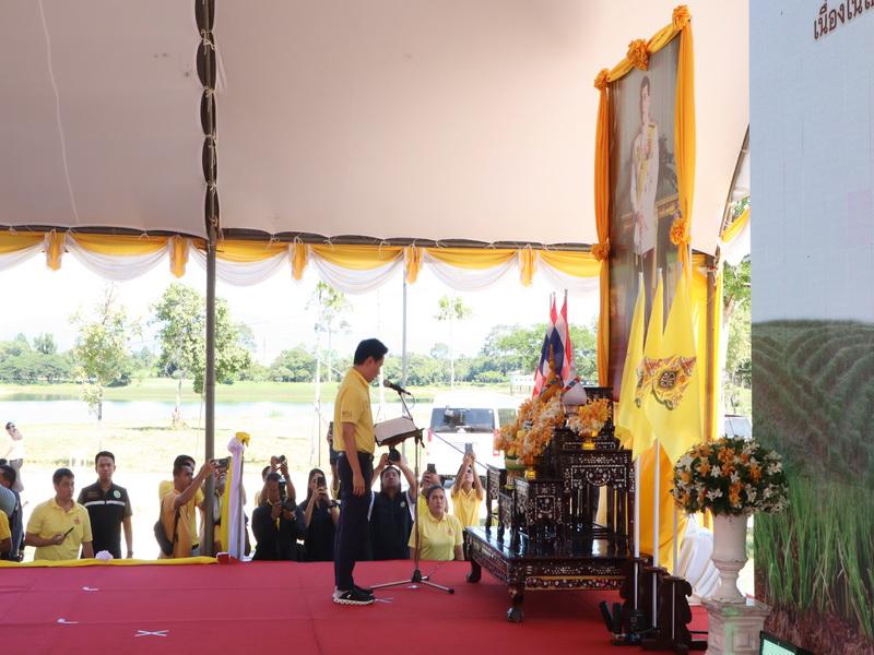 ภาพประกอบที่ 5