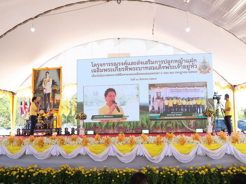 ภาพประกอบที่ 10