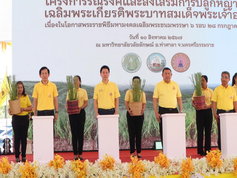 ภาพประกอบที่ 17