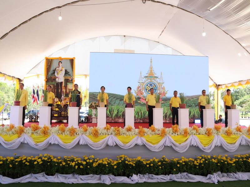 ภาพประกอบที่ 19