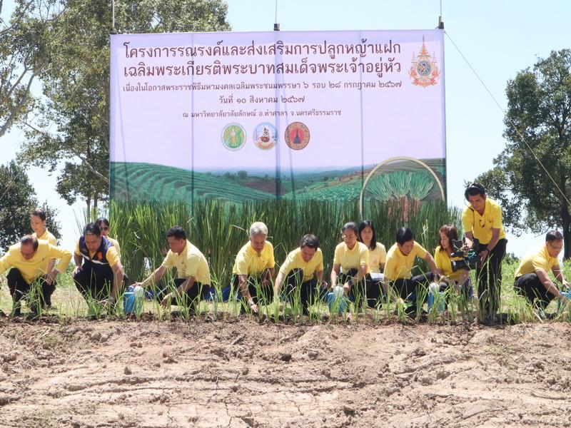 ภาพประกอบที่ 24