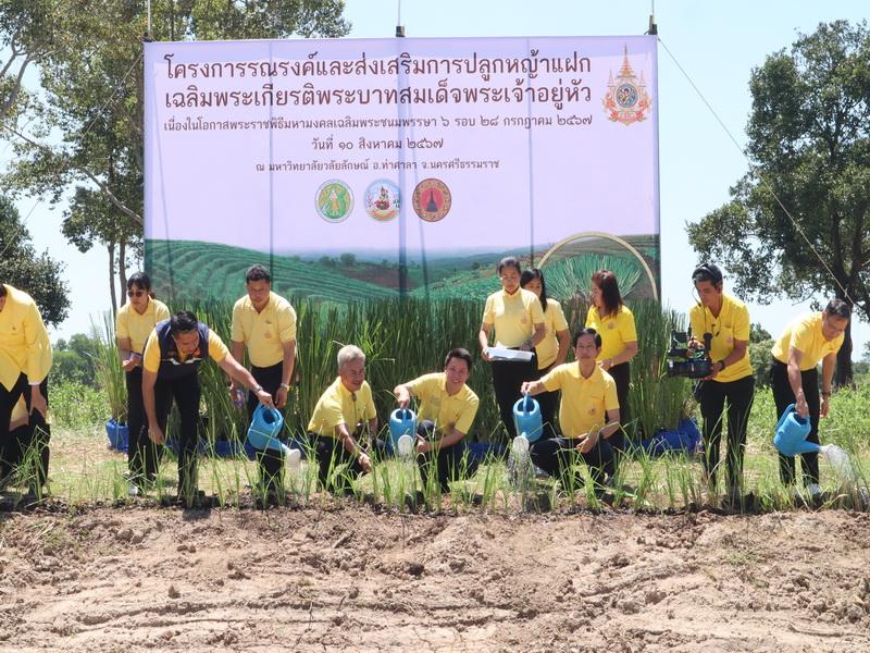 ภาพประกอบที่ 25